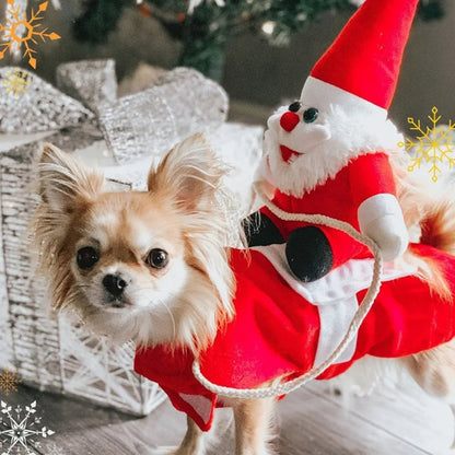Santa Riding Dog Christmas Costume