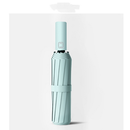 Fully Automatic Umbrella