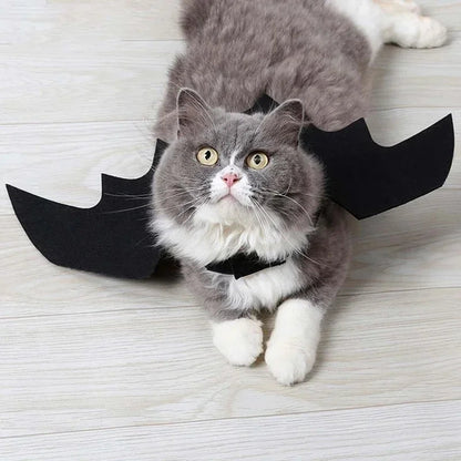 Bat Wing Halloween Costume for Pets