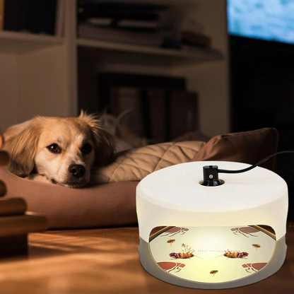 Indoor Bed Bug Trap