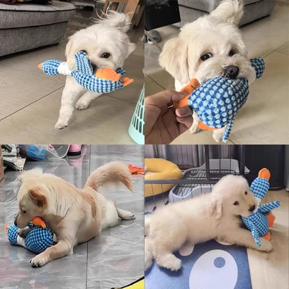 Plush Dog Chew Toy with Squeaker