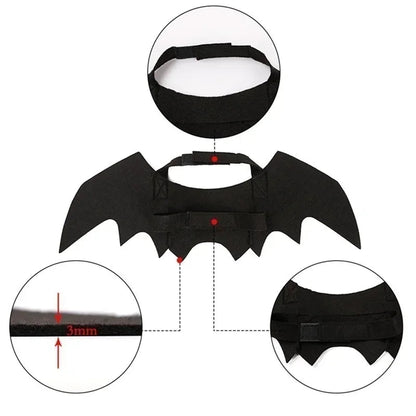Bat Wing Halloween Costume for Pets