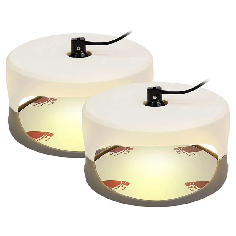 Indoor Bed Bug Trap