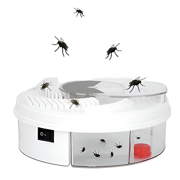 Highly Effective Fly Trap