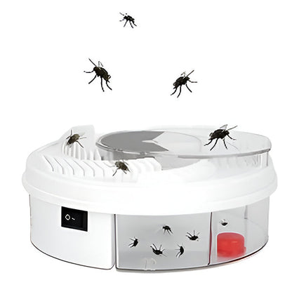 Highly Effective Fly Trap