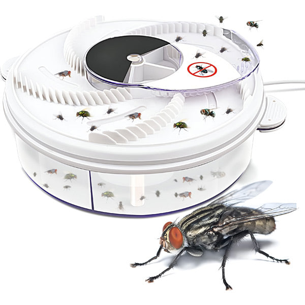 Highly Effective Fly Trap