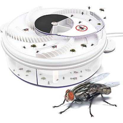 Highly Effective Fly Trap