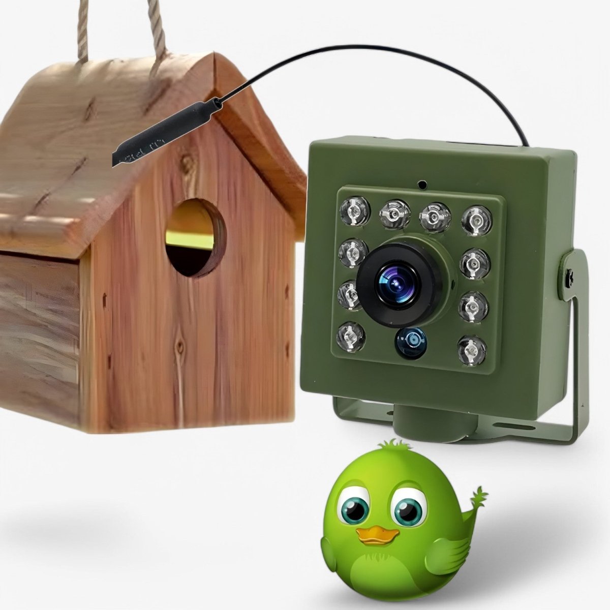 1080p HD weatherproof wildlife camera with night vision, motion detection, and remote access