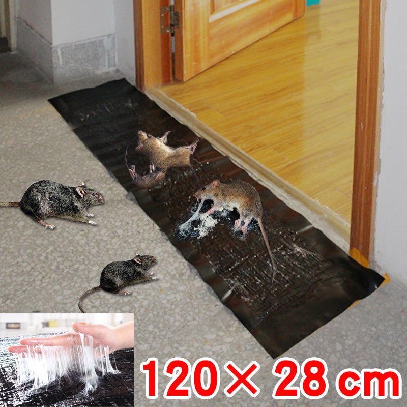 Large, non-toxic trap for effective pest control