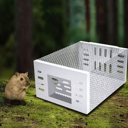 Human Mouse Trap with Safe & Reusable Design