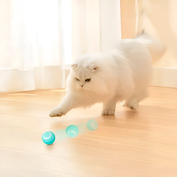 Interactive Pet Ball, Rolls Automatically