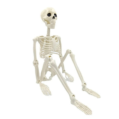 Human Skeleton Halloween Decorations Outdoor