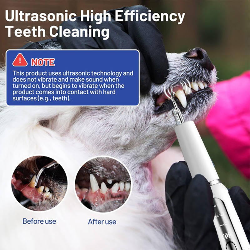 Dog Plaque Tartar Calculus Remover at Home
