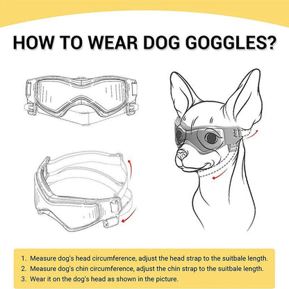 Dog Goggles