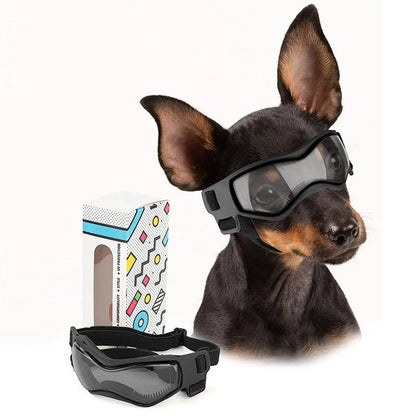 Dog Goggles