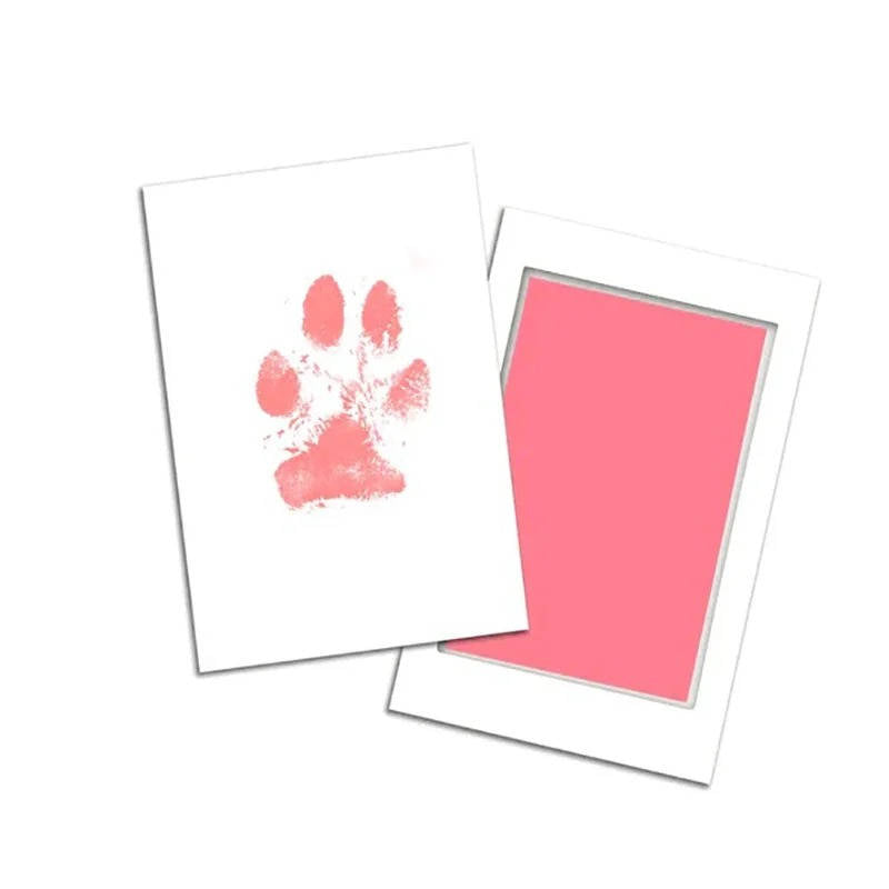 Dog Paw Print Kit