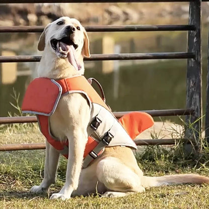 Dog Float Jacket