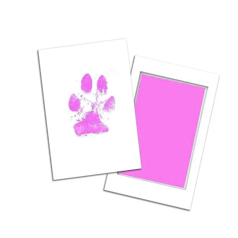 Dog Paw Print Kit