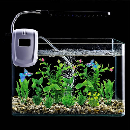 Fish Tank Decoration