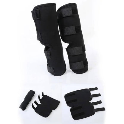 Orthopedic Braces For Dogs