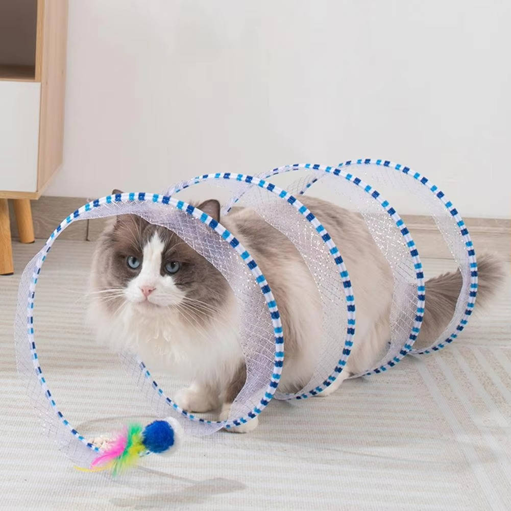 Cat Hunting Toys