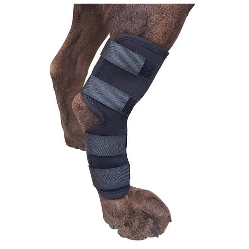 Orthopedic Braces For Dogs