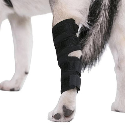 Orthopedic Braces For Dogs