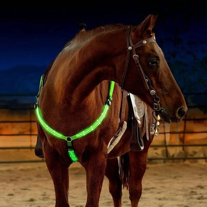 LED Breast Collar Horse