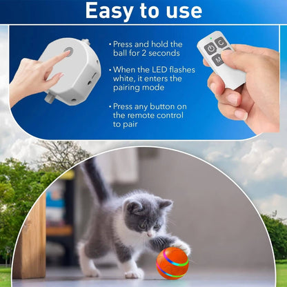 Interactive Dog Ball Toy