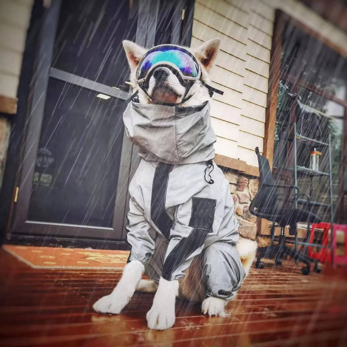 Waterproof Dogs Raincoat