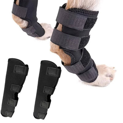 Orthopedic Braces For Dogs