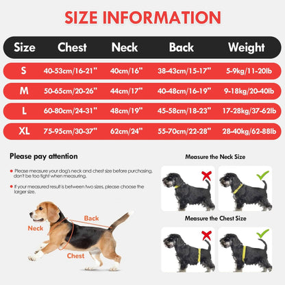 Dog Float Jacket