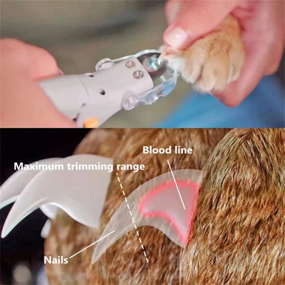 Pet Bail Clipper With Light