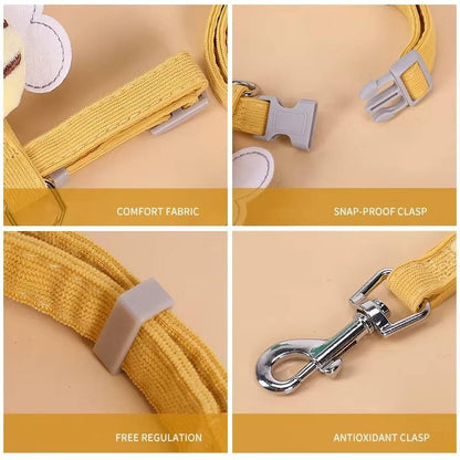 Cat Collar And Harness