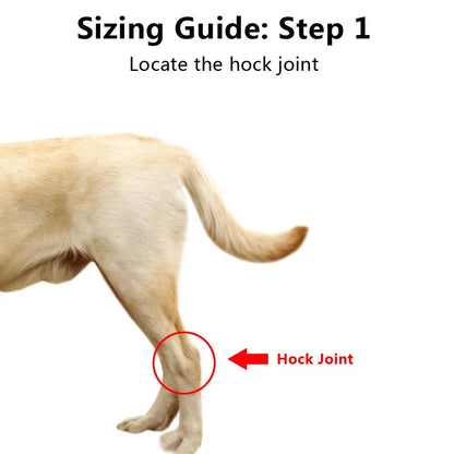 Orthopedic Braces For Dogs