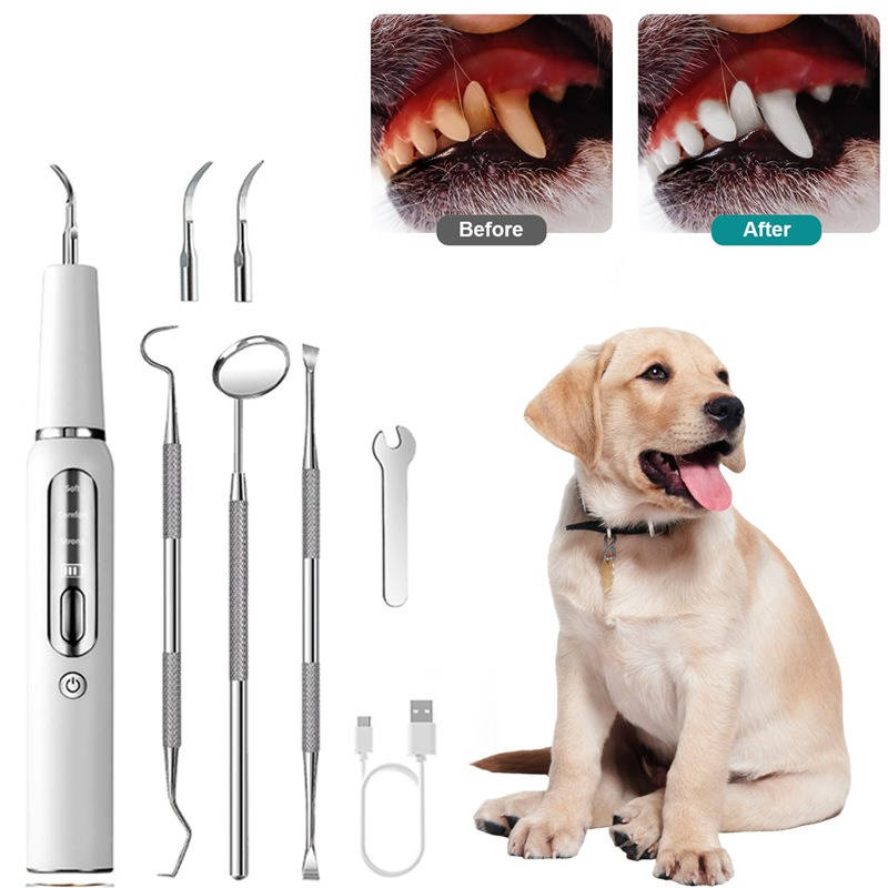 Dog Plaque Tartar Calculus Remover at Home