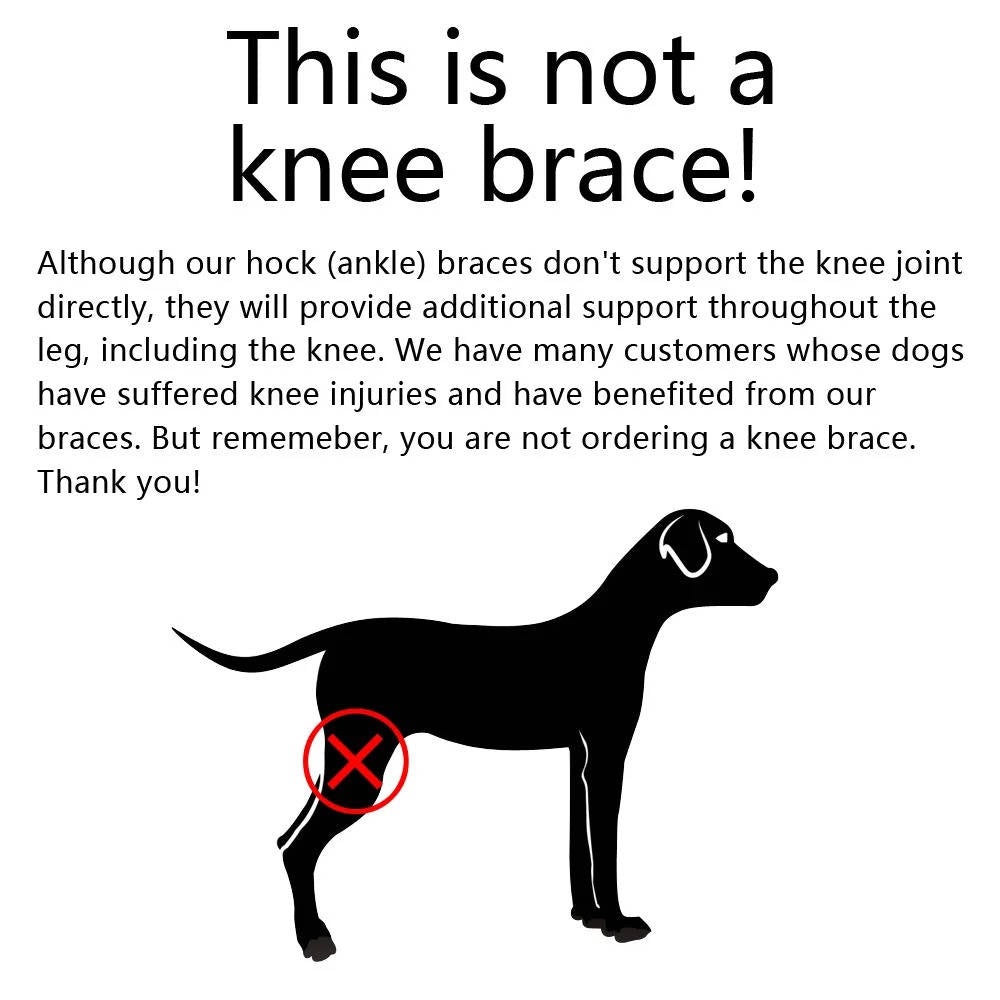 Orthopedic Braces For Dogs