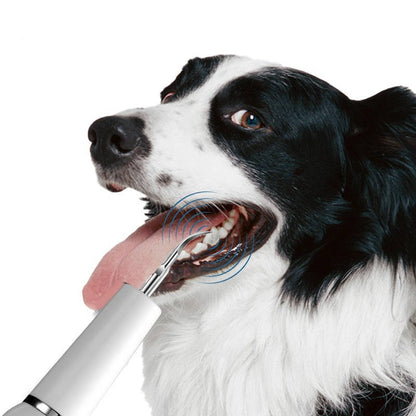 Dog Plaque Tartar Calculus Remover at Home