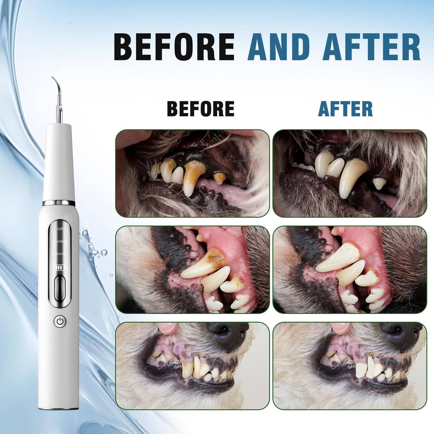 Dog Plaque Tartar Calculus Remover at Home