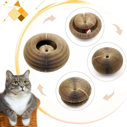Cat Scratcher with Ball Track