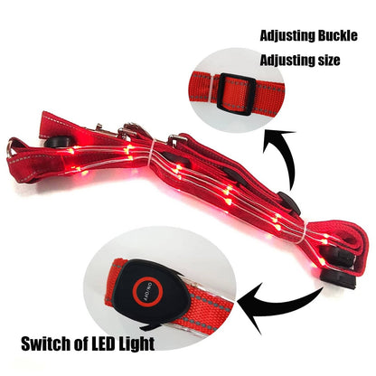 LED Breast Collar Horse