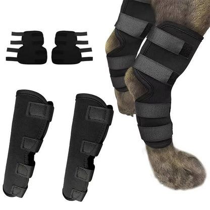 Orthopedic Braces For Dogs