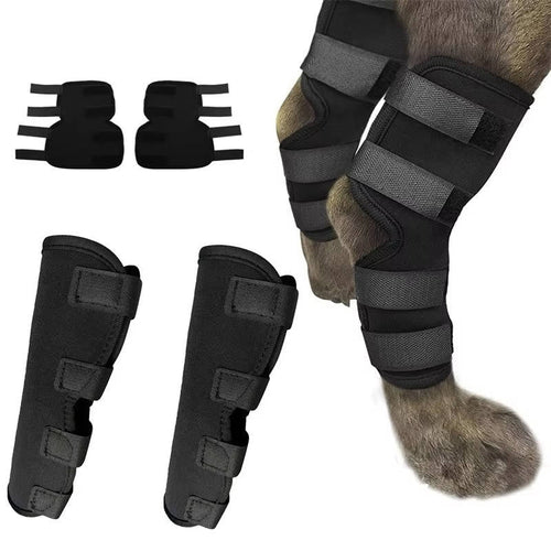 Orthopedic Braces For Dogs