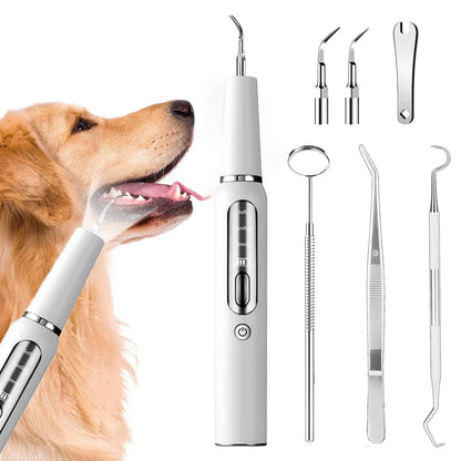 Dog Plaque Tartar Calculus Remover at Home
