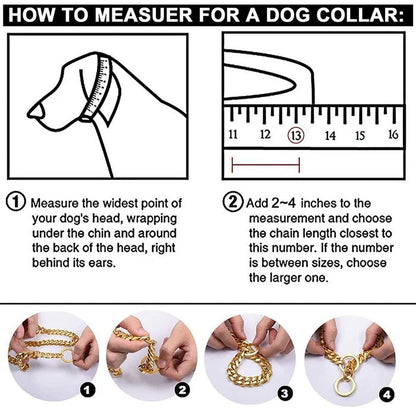 Heavy-Duty Dog Collar