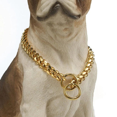 Heavy-Duty Dog Collar