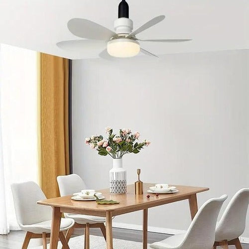 Ceiling-mounted fan