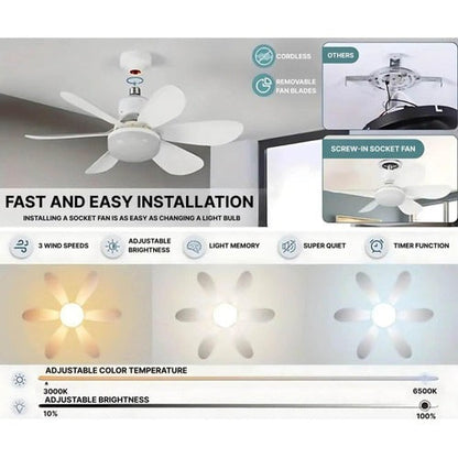 Ceiling-mounted fan