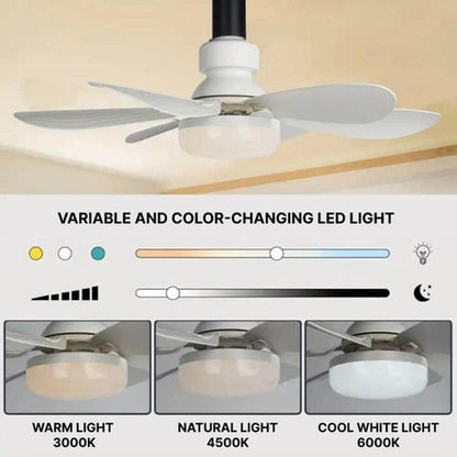 Ceiling-mounted fan