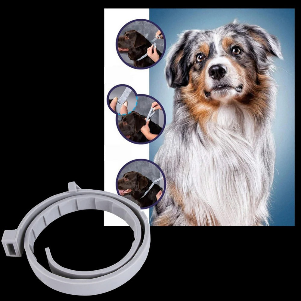 Parasite Repellent Pet Collar
